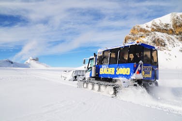 Glacier 3000 and Montreux gold bus tour from Lausanne
